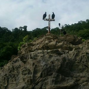 Meet your Posher, Thomas